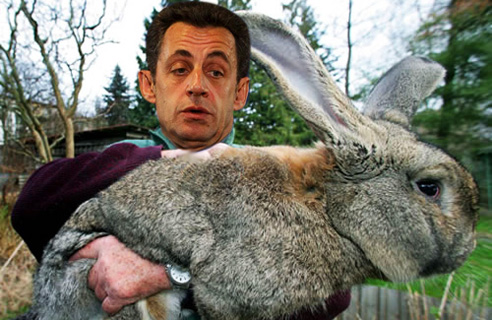 Sarkozy’s Rabbit Chasing: The Wikileaks Trivia that Fascinates…