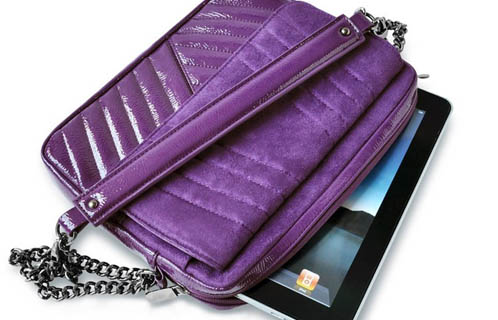 My name is Shelina and I Want an IPad 2 (and bag, and…)