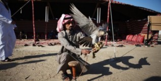 Hunting In Qatar: Sometimes Noble, Sometimes Pitiful
