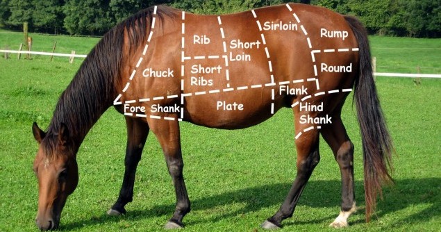 eat-a-horse