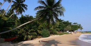 My ‘Slice of Sri Lanka’: ‘Stunning South West’