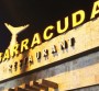 Dubai’s Fishy Delight: A Friday Lunch at The Barracuda