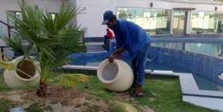 Dubai Puzzle: ‘When’s A Gardener Not a Gardener?