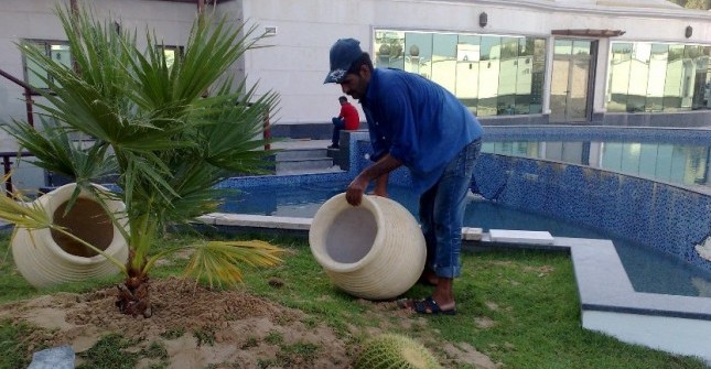 Dubai Puzzle: ‘When’s A Gardener Not a Gardener?