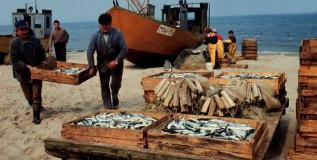 A Key Project: Morocco’s Fishermen Receive Vital Aid